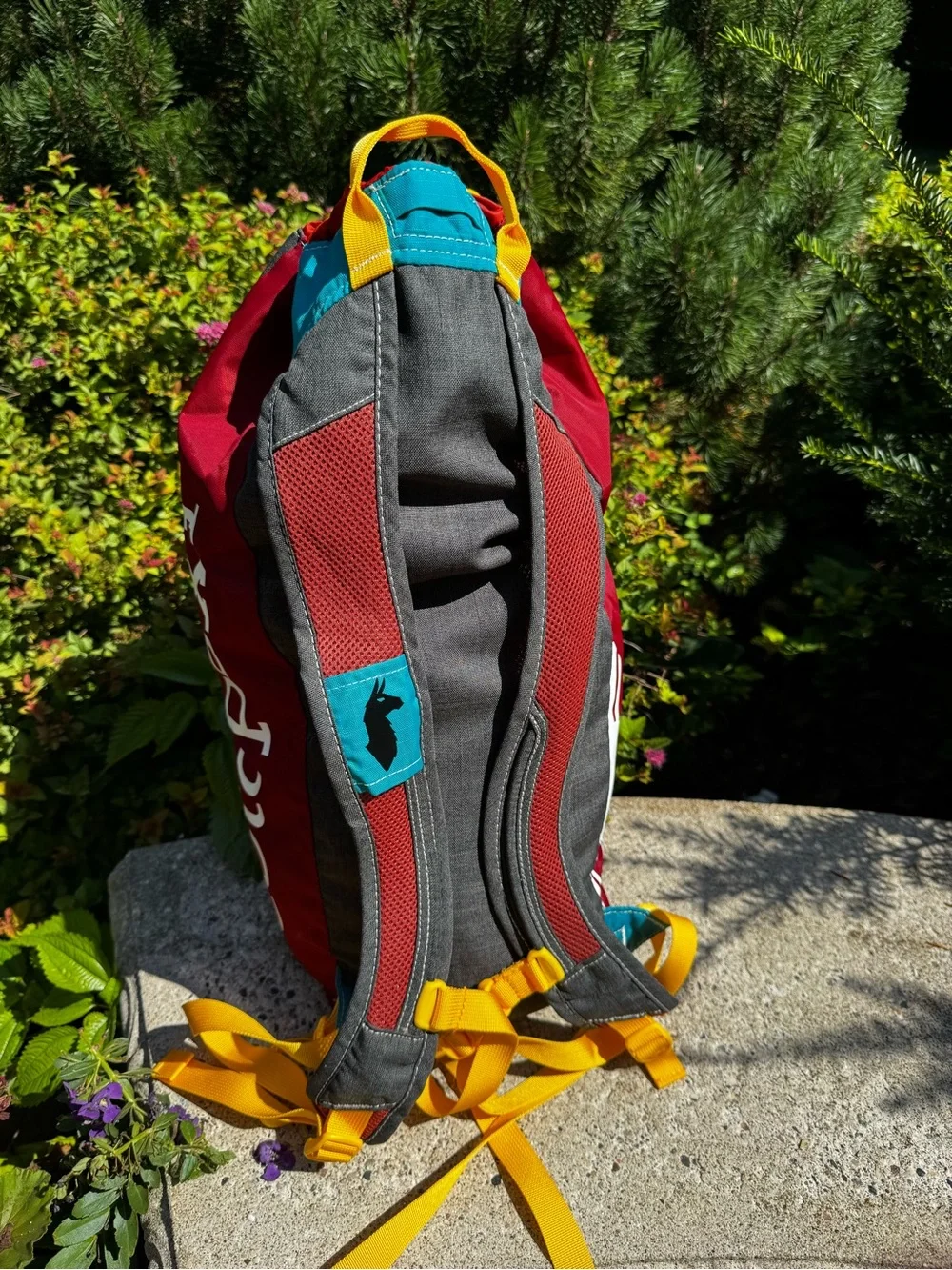 cotopaxi Luzon 18L Teal, Gray & Red Drawstring Daypack with Yellow Accents